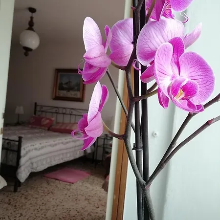 Apartment Antica Officina *