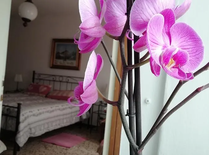 Apartman Antica Officina *